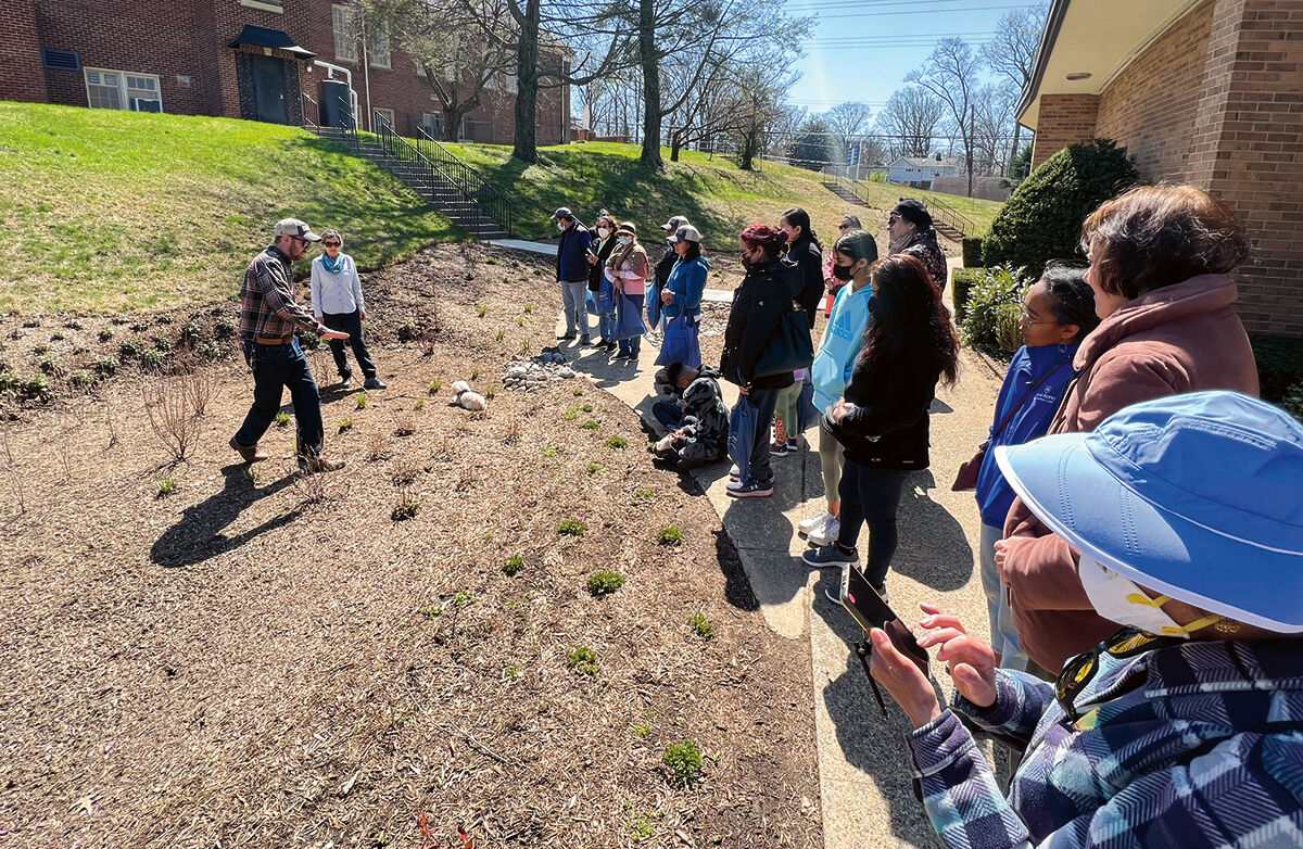 Dry rain garden